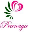 Pranaya Top Wedding Event Management Company in Chennai